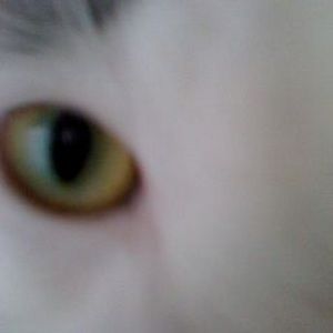 Meet your Posher, Kristy